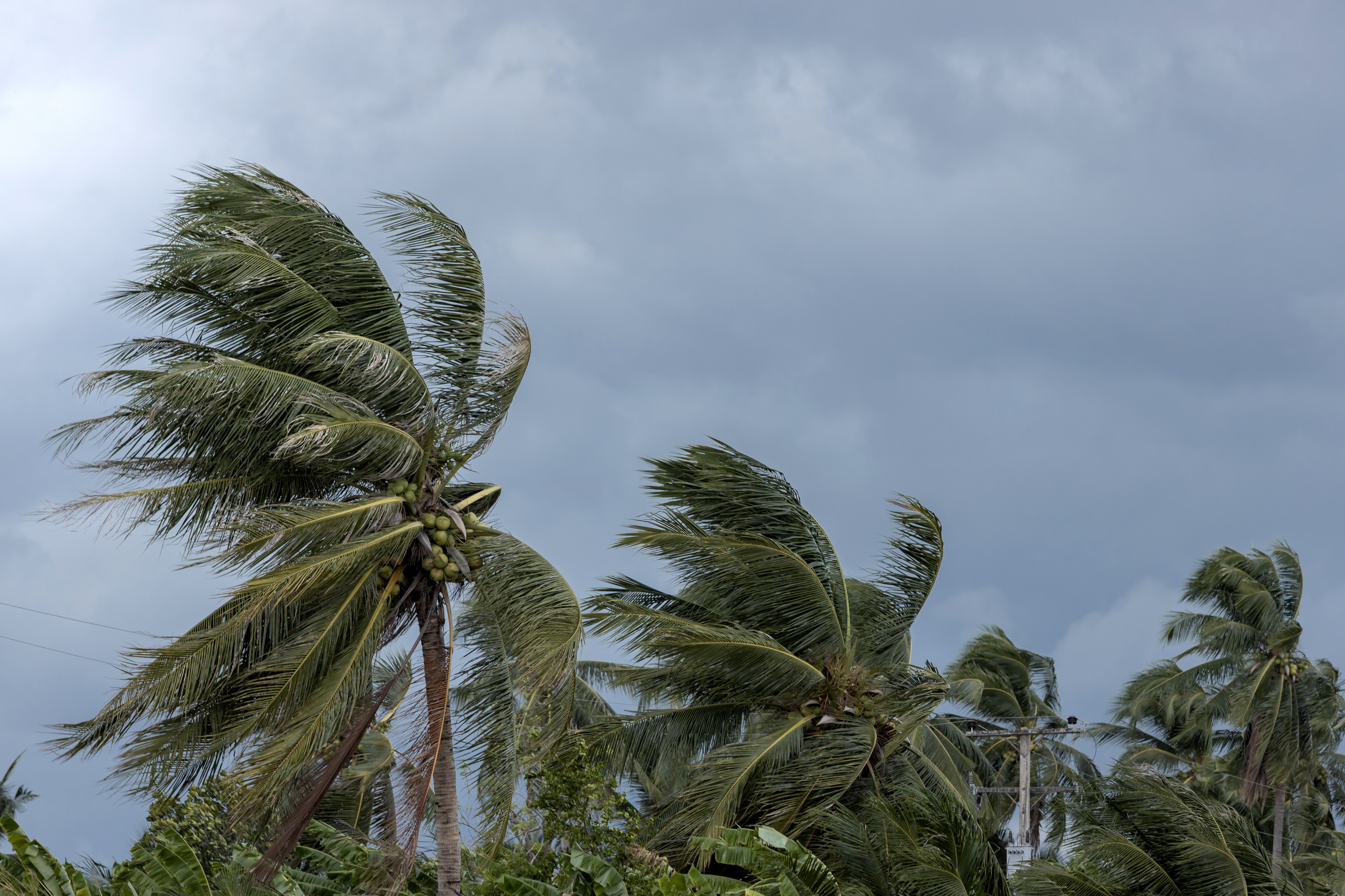 Strategies for Post-Hurricane and Disaster Events (Part 2)