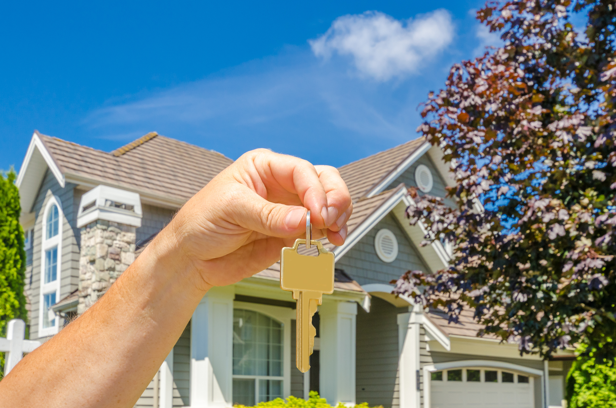 Why Professional Property Management Matters in HOA Communities