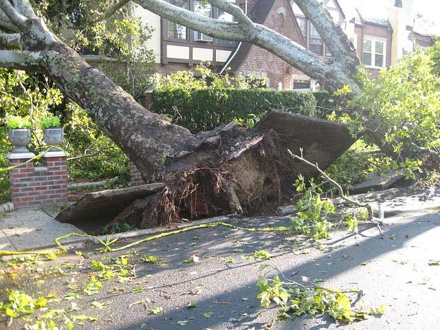 storm damage in HOA community
